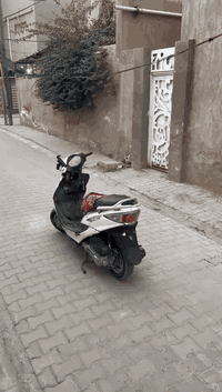 كامكو جي فور • نجف كوفه • سلف وهندل