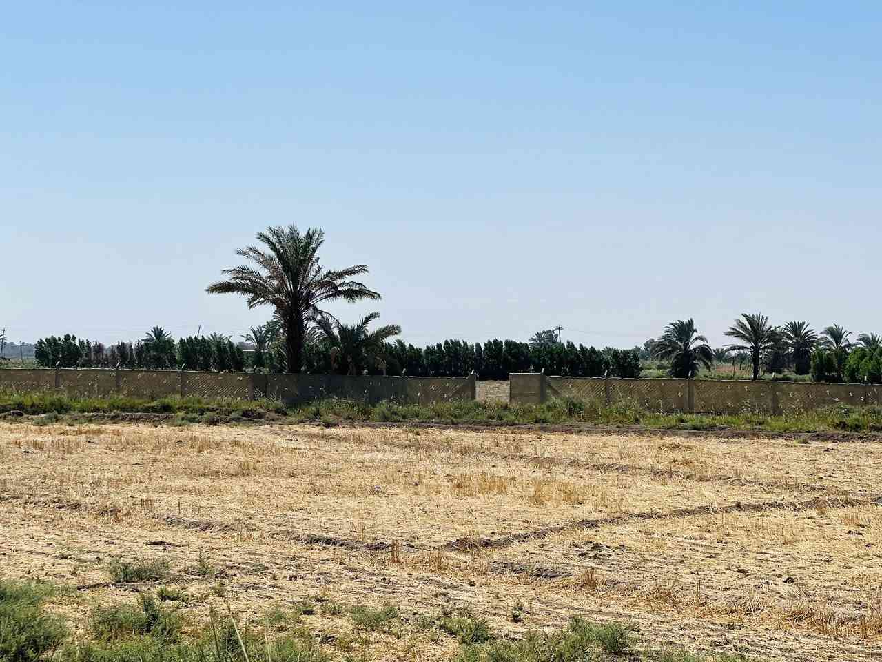 سلام عليكم ارض زراعيه للبيع 
العنوان طريق كربله نجف عمود 301 
ام نعجه للاستفسار اكثر  المساحه 7 دونم 
 ‭0783 885 1910‬
