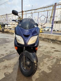 فورزا • صفر • اوراق كاملة