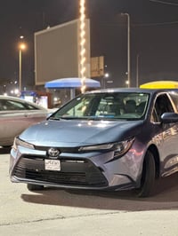 كورلا • وارد امريكي • رمادي