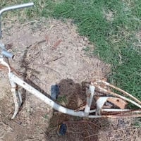 بسكليت • للبيع