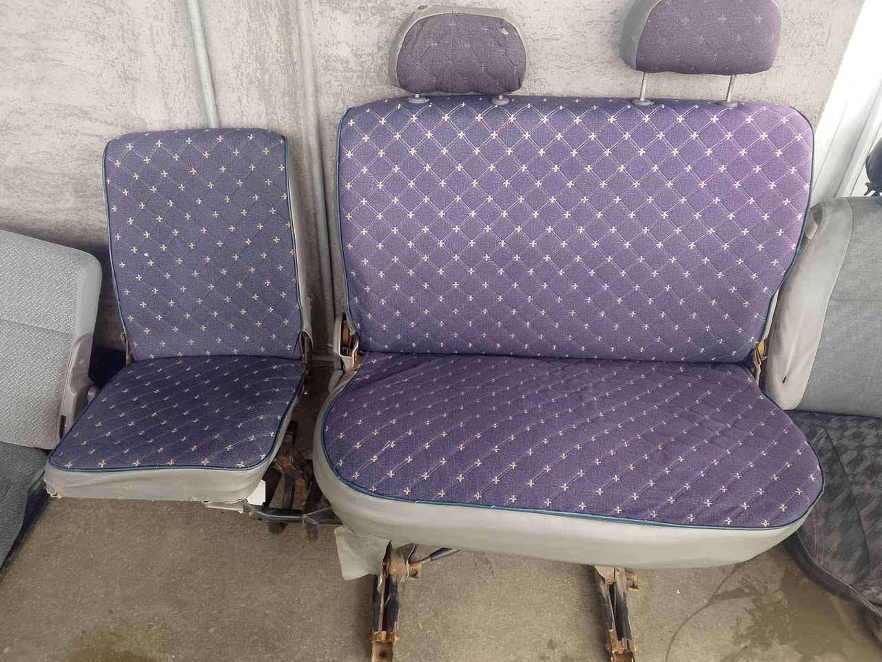 تخم كشنات مال بريجو للبيع***********،
