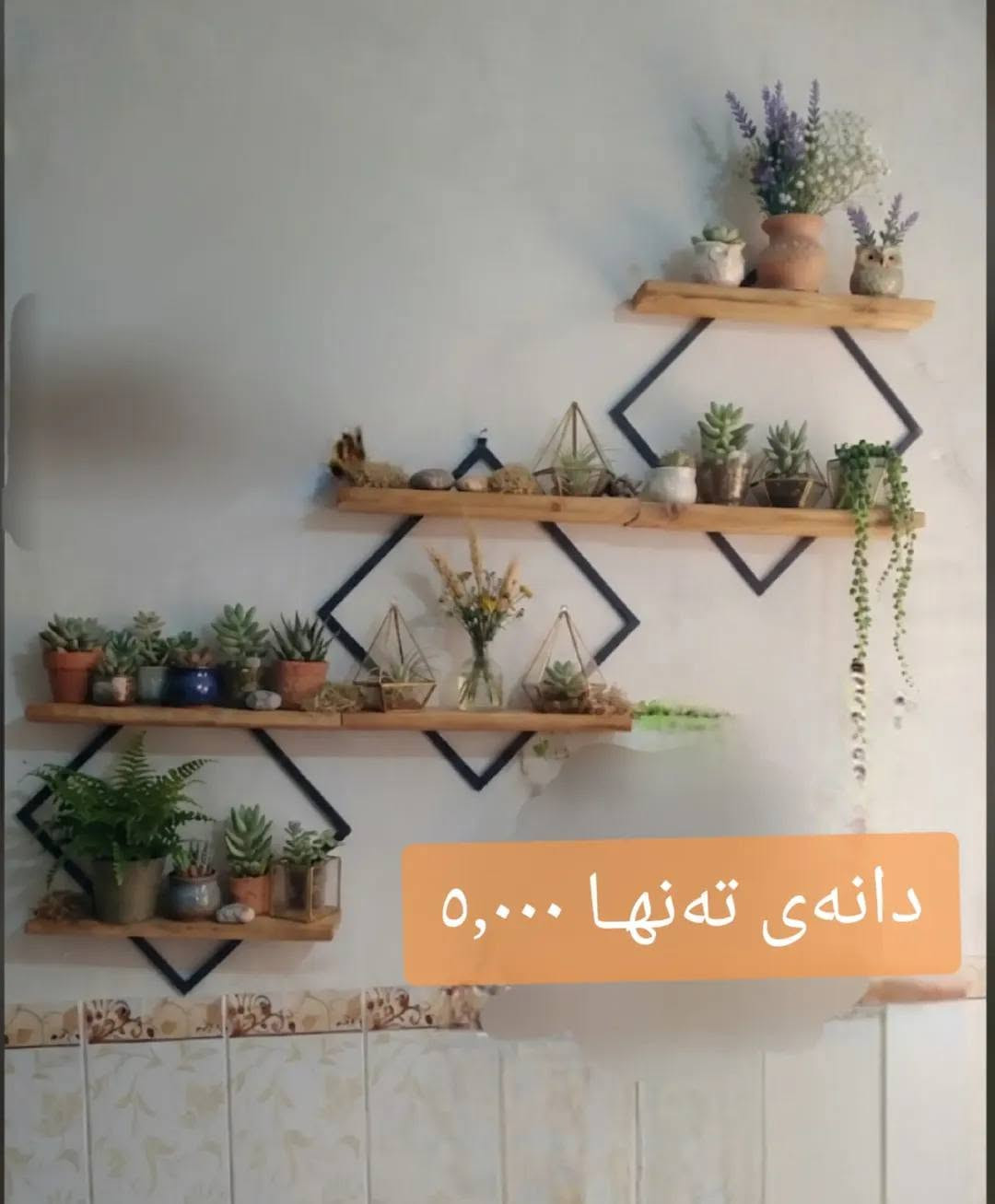 داشکانی کاتی! جوانترین ڕەفەی دارینە بۆ ماڵەکەت بە باشترین کوالێتی. گەیاندن بەردەستە 🛠️✨
   📞           ***********
 Whatsap ***********
