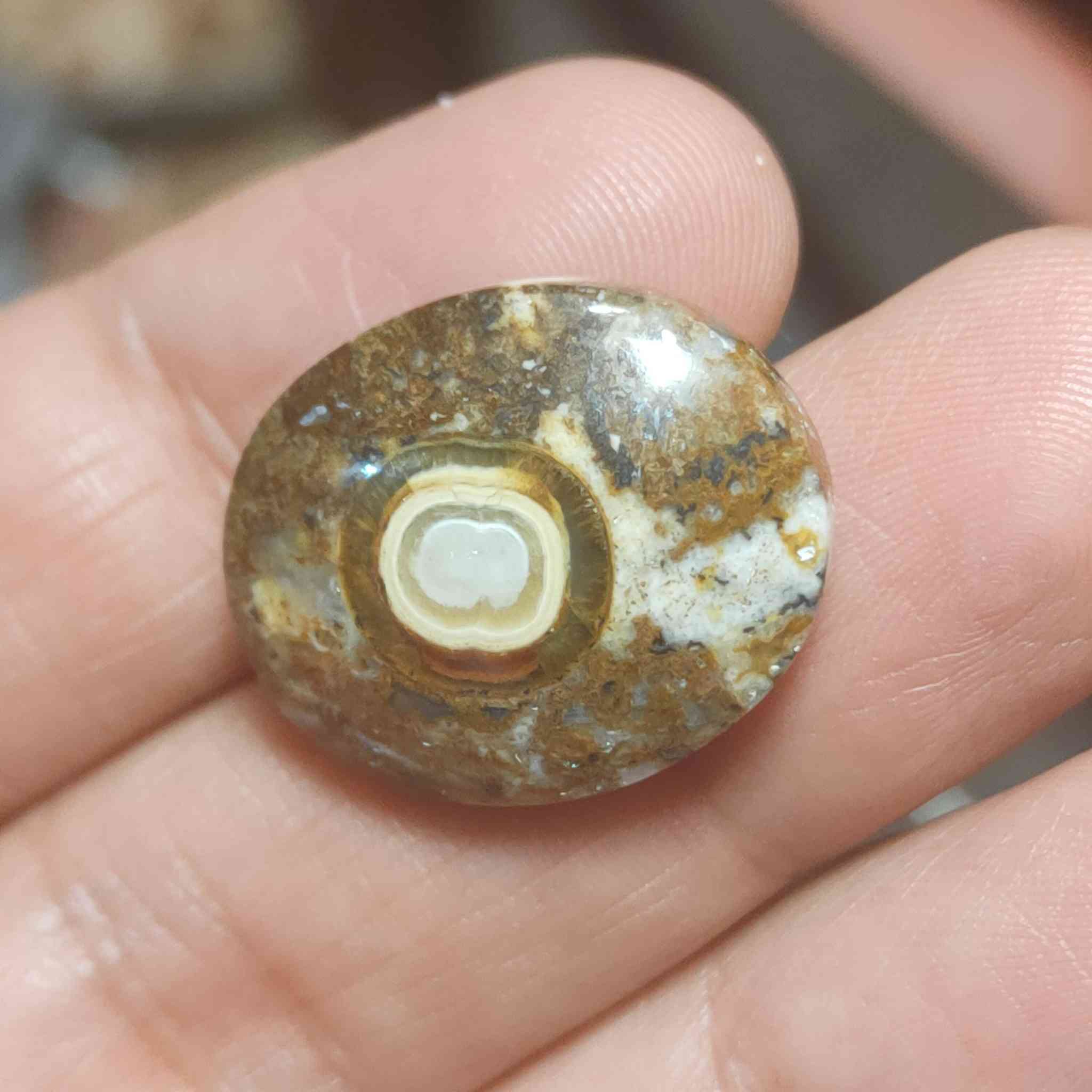 مجموعه فصوص داودي يماني 
يوجد توصيل الحجز خاص


**إذا كنت صاحب هذا الإعلان وتريد حذفه لأي سبب، رجاءا أرسل رسالة إلى الدعم الفني**