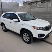 ٢٠١٢ • بدون صبغ • كركوك