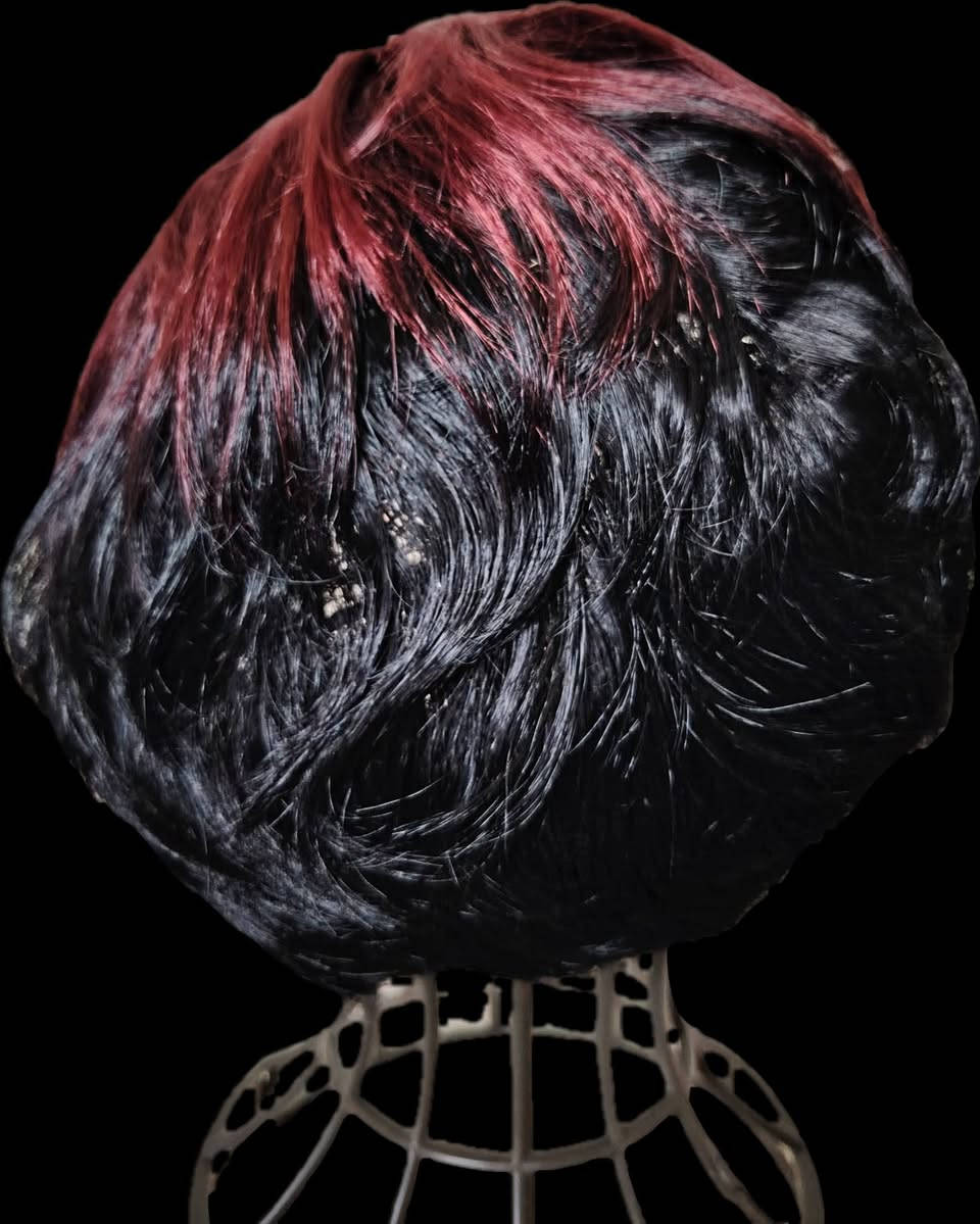 شلعة باروكات الياف ومخلوط العدد/٢٦قطعه وبسعر مناسب توجد خدمة توصيل لجميع المحافظات


**إذا كنت صاحب هذا الإعلان وتريد حذفه لأي سبب، رجاءا أرسل رسالة إلى الدعم الفني**