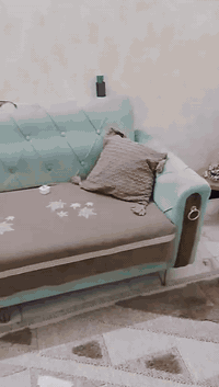 تخم + غرفة نوم + كاونتر
كل هل غراض اخو الجديد السعر 1,200
مليون و200 وبيهن مجال اتصل اذا شراي وتدلل 
***********
