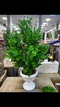 توصيل ببغداد • توصيل محافظات • ديكور