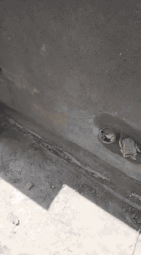 الباخ درجه اؤلا من ناصريع ***********
