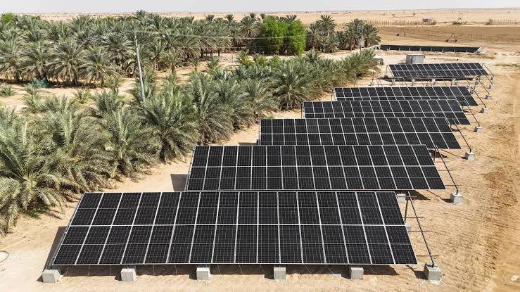 نحن في [شركه نمور البراري ] متخصصون في تنفيذ كافة مشاريع الطاقة الشمسية وتزويد المباني السكنية ول مجمعات  بأحدث الأنظمة المتكاملة.
لماذا تختارنا لتجهيز منزلك بالطاقة الشمسية؟
✅ توفير فوري: قلل فاتورة كهرباء منزلك بنسبة تصل إلى 90%.
✅ استقلال تام: طاقة مستمرة لا تنقطع، وداعاً لمشاكل انقطاع التيار.
✅ أنظمة ذكية: حلول مخصصة للمنازل (سخانات، إضاءة، تكييف) بأعلى كفاءة.
✅ جودة عالمية: نستخدم أفضل الألواح والمحولات (Inverters) مع ضمانات حقيقية طويلة الأمد.
✅ تنفيذ احترافي: فريق هندسي وفني متخصص يضمن لك التركيب الآمن والمنظر الجمالي للمبنى.
​خدماتنا للمباني السكنية تشمل:
📍 تصميم وتركيب الأنظمة الملحقة بالشبكة (On-Grid).
📍 أنظمة التخزين والبطاريات (Off-Grid) للاستقلال الكامل.
📍 صيانة دورية وتنظيف للألواح لضمان أعلى أداء.
​مستعد للبدء؟
لا تدع الشمس تشرق دون أن تستفيد منها! اطلب الآن معاينة مجانية لمنزلك وسيقوم خبراؤنا بدراسة احتياجك وتقديم العرض الأنسب لك.
​📞 للتواصل والاستفسار: ***********]
💬 أو راسلنا مباشرة عبر رسائل الصفحة.
