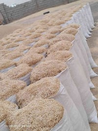 تبن لبيع بنسب لسعار لرايد تبن يتصل 07733676881 وتوصيل لباب بيتك وددلل