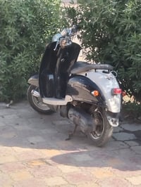 درجه مصريه • مكينه ناعمه • شلعته قويه • ناصريه • سلف وهندر • هورن ولاي...