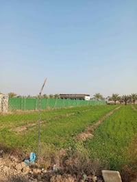 طابو زراعي • ٢ دونم • منطقه ١٠ مناصير