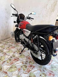 بوكسر • فحل جبلي • ٢٠٢١