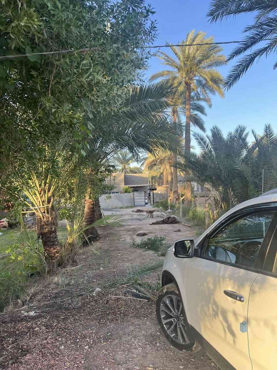 جنس العقار/ زراعي 25 
نوع العقار/ أرض زراعية 
المساحة/ 2500م ( دونم) واجهة 25 على جدول بابل مباشرة.
الموقع/ بابل - الحله - منطقة الصياحية 
التفاصيل/
أرض زراعية مخدومة مشيد عليها ثلاثة دور سكنية وتحتوي على اشجار النخيل واشجار أخرى مختلفة وخدمات متوفرة من كهرباء وماء اسالة وسقي على جدول بابل مباشرة وتبعد عن الشارع الرئيسي لطريق الصياحية 150م وعلى مسافة قريبة جدا من الشارع العام لطريق حله - محاويل.
للاستفسار مراجعة مكتبنا أو الاتصال بنا على الرقم/ ***********
خاص واتس
