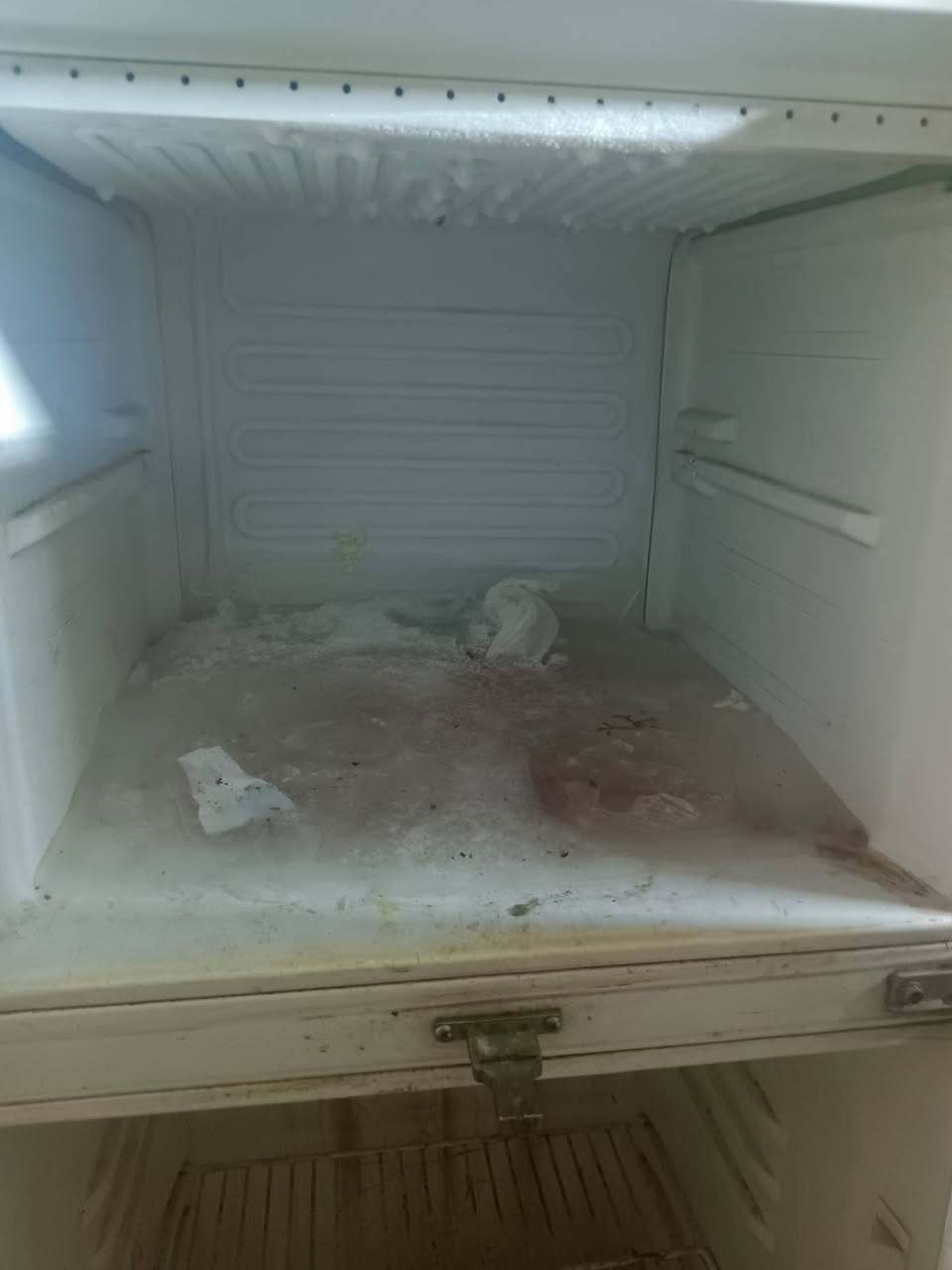 سلام عليكم ثلاجه للبيع شرط التجميد ول تبريد فول ثلاجه جبيره ومرتبه سعره 150 وبيه مجال


**إذا كنت صاحب هذا الإعلان وتريد حذفه لأي سبب، رجاءا أرسل رسالة إلى الدعم الفني**