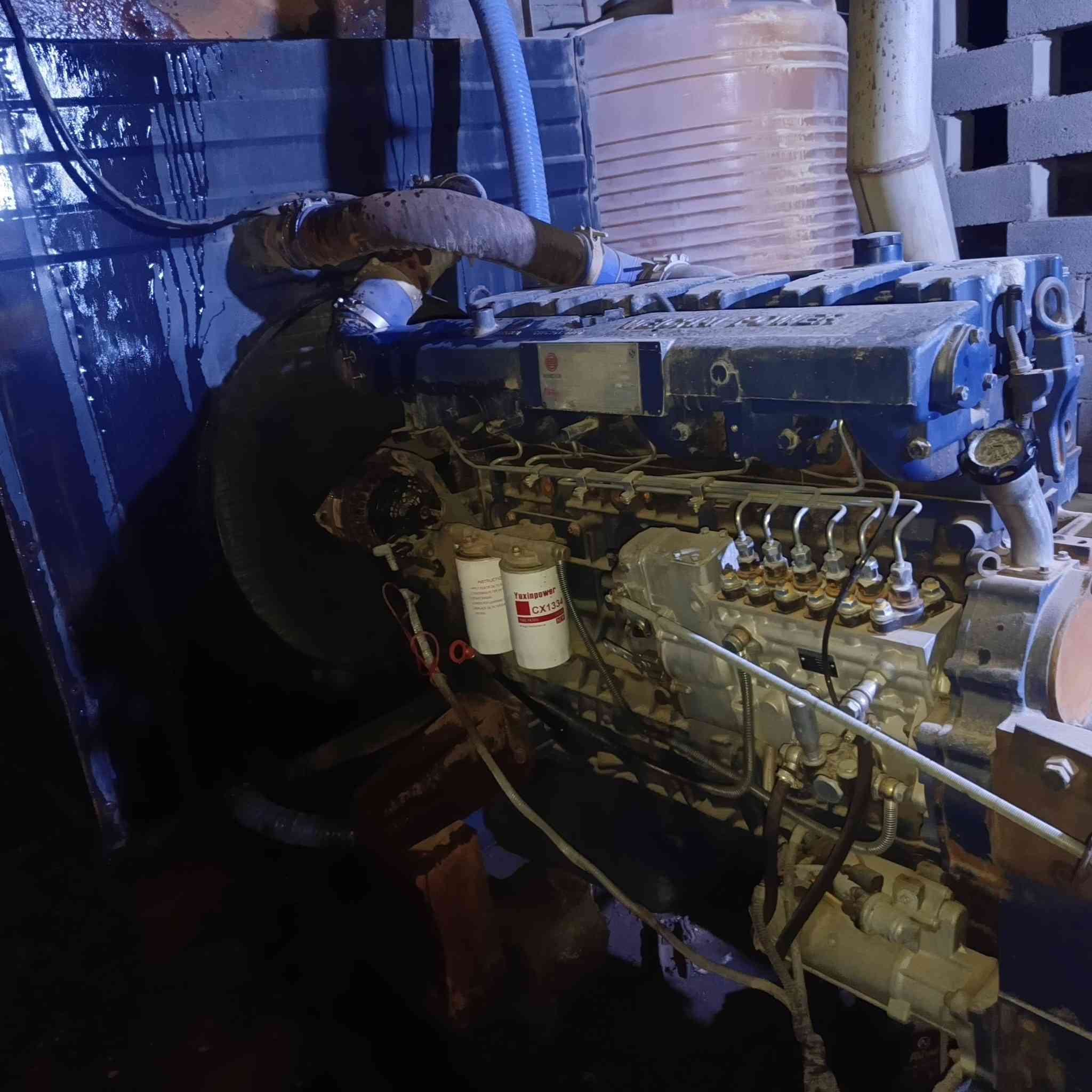 للبيع شتاير ٢٤لا تنقيص ولا تبخير راس توالد ٢٢٥السعر ٥٠عله حمل ***********
