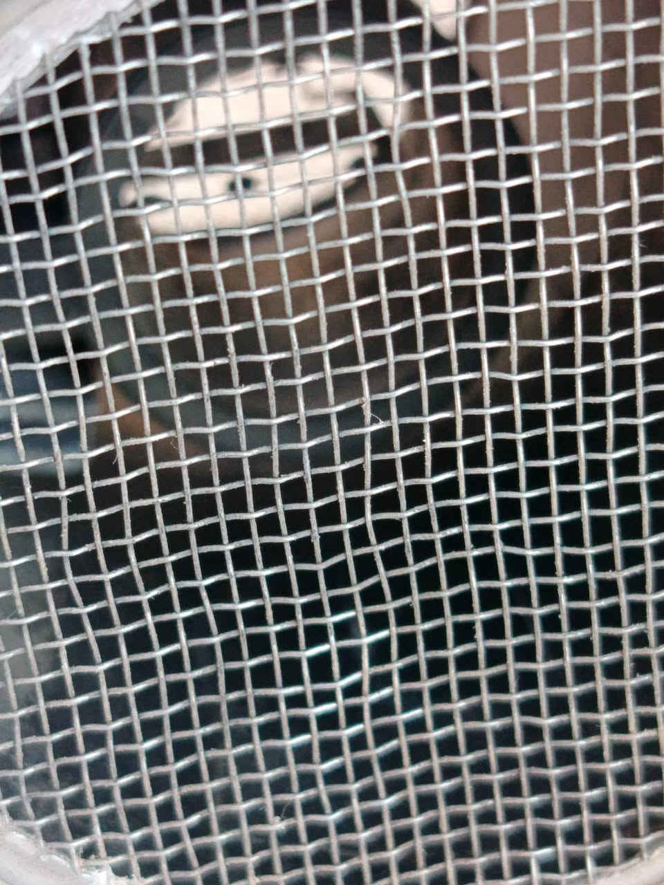 ايرفلو 25 6 خطوط جديد مستخدم شي قليل خلي سعرك وتعال مكاني الفلوجه


**إذا كنت صاحب هذا الإعلان وتريد حذفه لأي سبب، رجاءا أرسل رسالة إلى الدعم الفني**