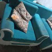 قنفات • ٥ قطع • حي قائم