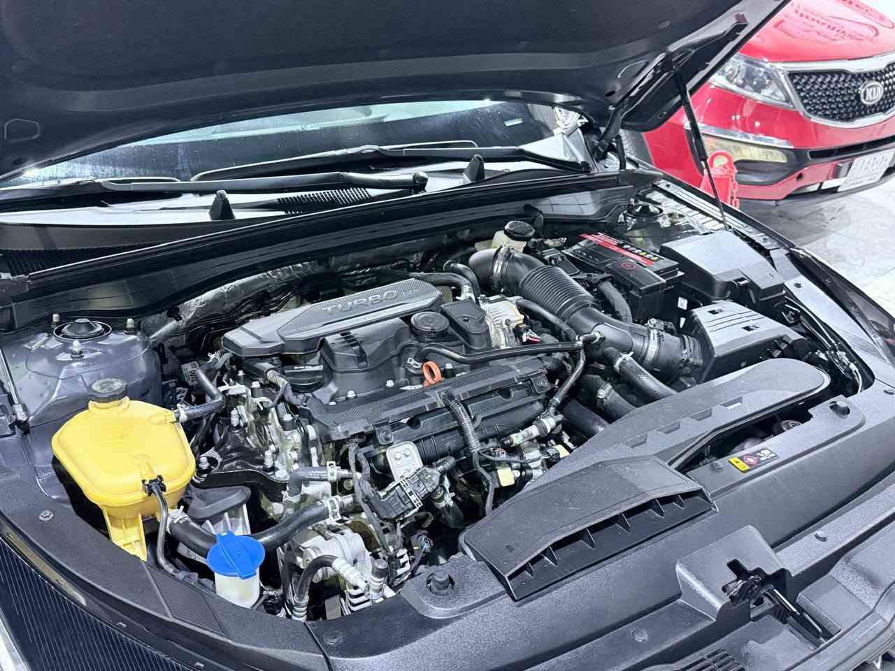 السلام عليكم
كي فايف k5

2022

وارد امريكي داخله كلين

 مكفوله من صبغ والضربه والبارد

ماشيه ٧٠ 

بصمه 

رادار امامي خلفي

محرك 1600 تيربو

ترحيب ذكي

شاشه جبيره

هاند بريك كهرباء

حساس امامي خلفي 

كامره دواره

زنون 4 عدسات

باقي المواصفات معروفه

 رقم مثنى   مكاني ذي قار  ‏‪***********‬‏ @
