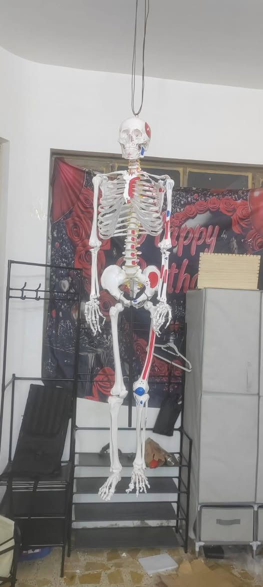 سلام عليكم  هيكل عضمي بهذة الشكل
مع العلم  متحرك بكل الشكال السعر وتساب***********
