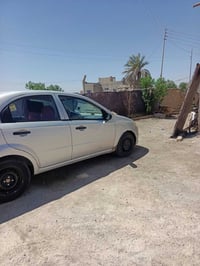 افيو • ٢٠١٤ • السماوه الوركاء