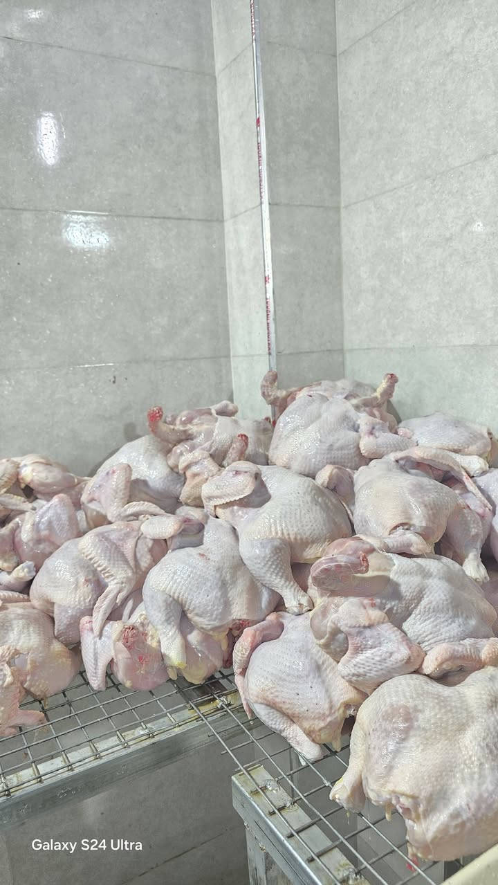 انشااللە لەدوای نوێژی عیشا دووکانمان کراوەیە هەتاکوو ٢ شەو لە خزمەتاناین کەیاندنمان هەیە بۆ ناو شاری کەلار
***********
2026/5/14
