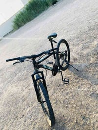 باسكل • للبيع • ٥ كيلو
