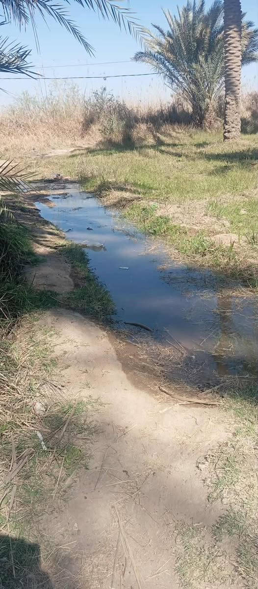 سلام عليكم كاع البيع دونم ونص سند 25تحويل 
بسمك موقع كاع المسيب الجيلاويه خدمات 
بي 50نخل خدمات كهرباء ⚡️ خط مولده مياه 
ساله مياه نهر تبليط يبعد عنه 500متر تصلح دار 
🏠 سكن ومزرعة الاستفسار عل راقم ‭

‭0771 827 6386‬
