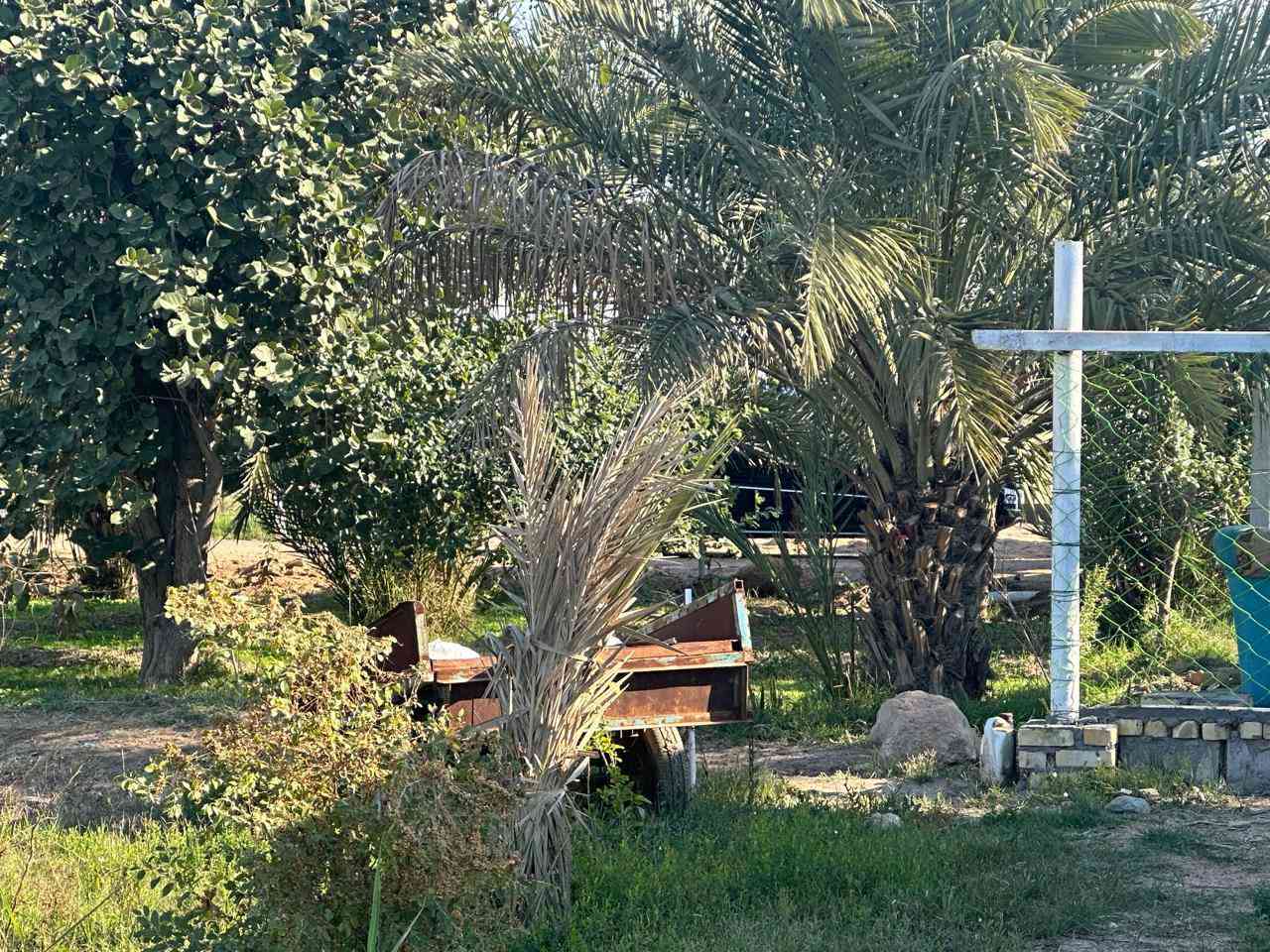 13 دونم  بستان 
 السعر 50 مليون الدونم 
الواحد جنس العقار طابو زراعي مفوض ابسم عراقي العنوان البصره كتيبان
*********** البصرة, العراق
