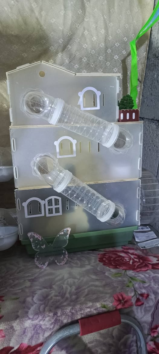 اغراض امزون جديده كل حاجه وسعرها جواها
ادمن وافق رجا


**إذا كنت صاحب هذا الإعلان وتريد حذفه لأي سبب، رجاءا أرسل رسالة إلى الدعم الفني**