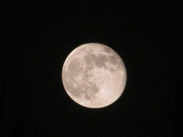 للبيع كاميرا كانون الحاله جيده جدا هذه صورتها هي وملحقاتها مع صور لجوده تصويرها الي مهتم يتفضل للخاص


**إذا كنت صاحب هذا الإعلان وتريد حذفه لأي سبب، رجاءا أرسل رسالة إلى الدعم الفني**