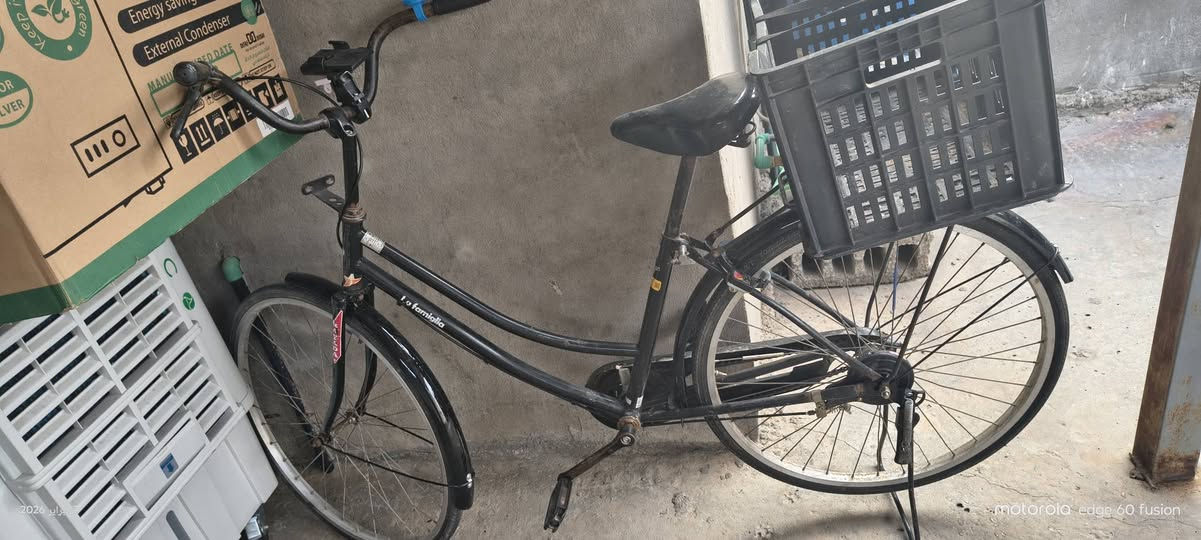 باسكل للبيع الحجم 26 السعر 75 كربلاء تصال ع الرقم ***********
