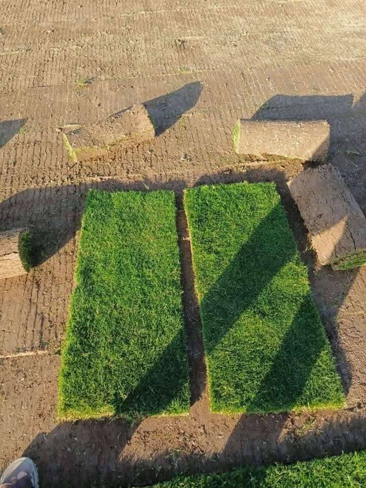 ثيل هندي وفرانسي معه التوصيل لطلب اتصل عله ***********
