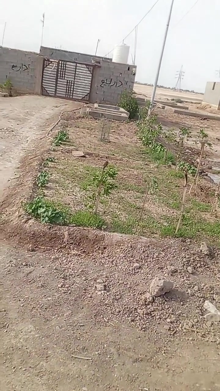 سلام عليكم بيت للبيع زراعي عن طريق ابو الماش وجه شارع مساحه 200 ماي كهرباء اكو‏‪***********‬‏

