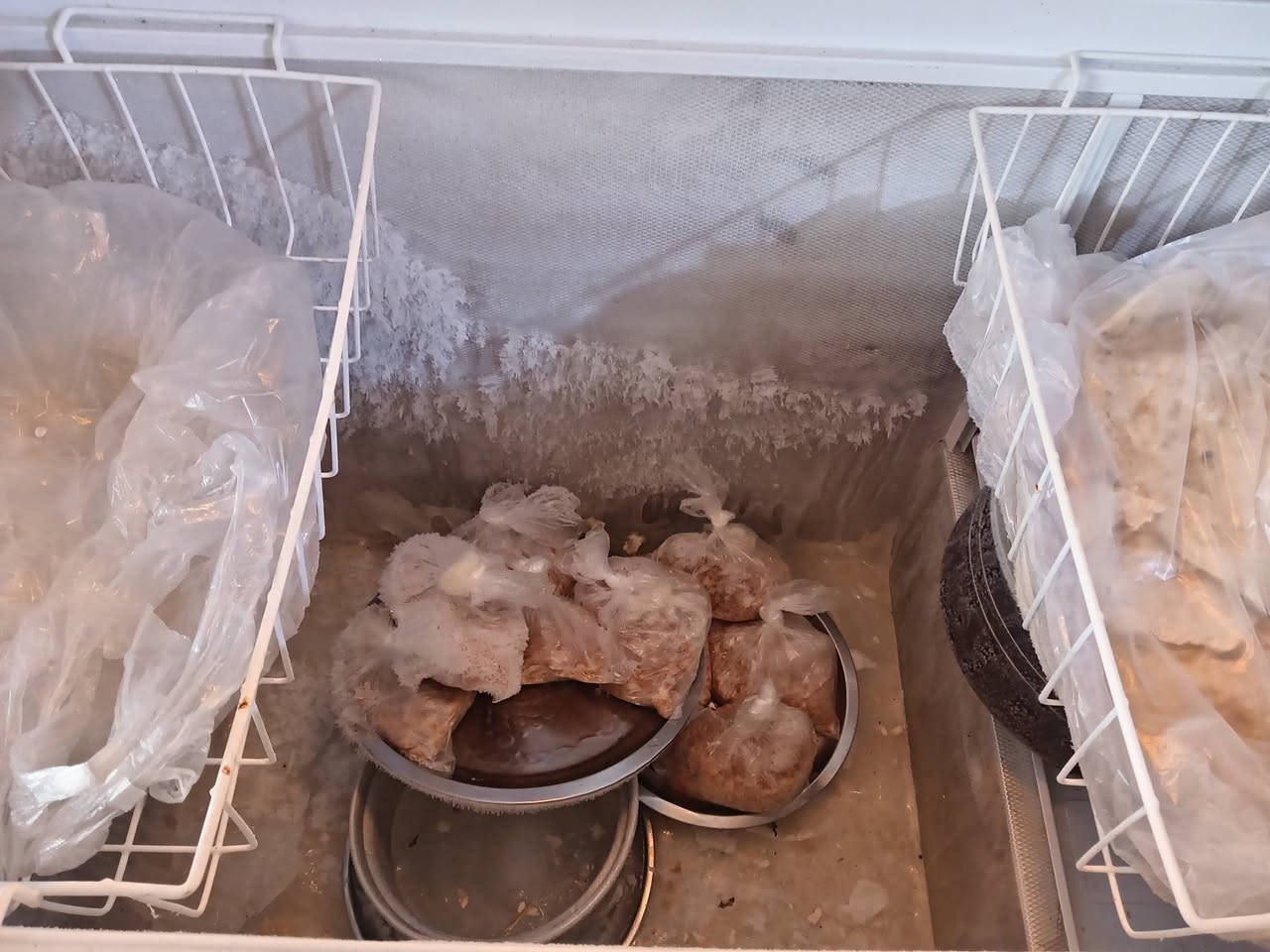 مجمده مستعمله شغاله مابيه اي  عطل سعره ٢٥٠ وبيها مجال


**إذا كنت صاحب هذا الإعلان وتريد حذفه لأي سبب، رجاءا أرسل رسالة إلى الدعم الفني**