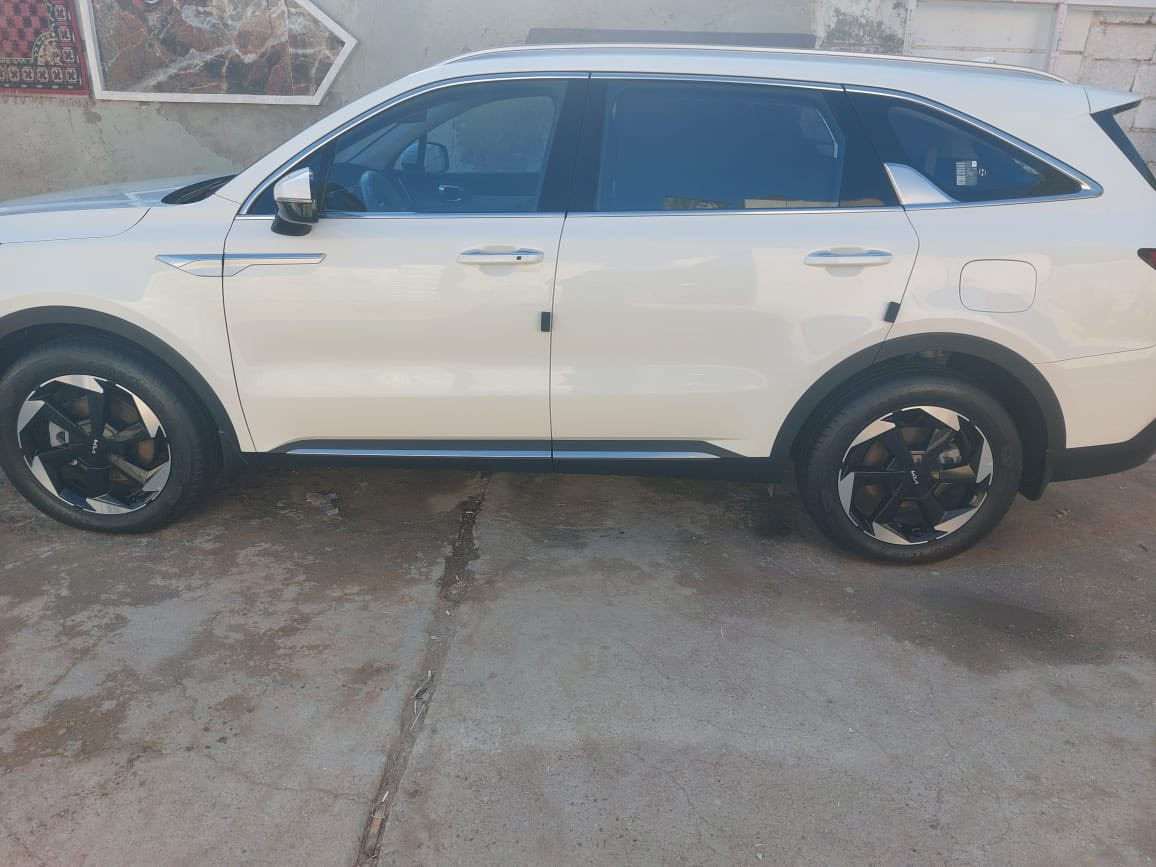 السلام عليكم كيا سورنتو ٢٠٢٤ بغداد دوليه ماشيه9000 الف فابلون الشركه
كفاله عامه من كلشي
مواصفات 
بصمة ابواب
كراسي كهرباء
سايد بريك كهرباء
تشغيل عن بعد
صندوق كهرباء
تحكمات فول دادي شو
حساسات وكامره 
وباقي المواصفات معروفه
مكان السياره ذي قار 
السعر 322$
***********
