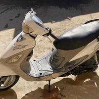 ماكس منغولي • بوشه ٤٩ • شغاله