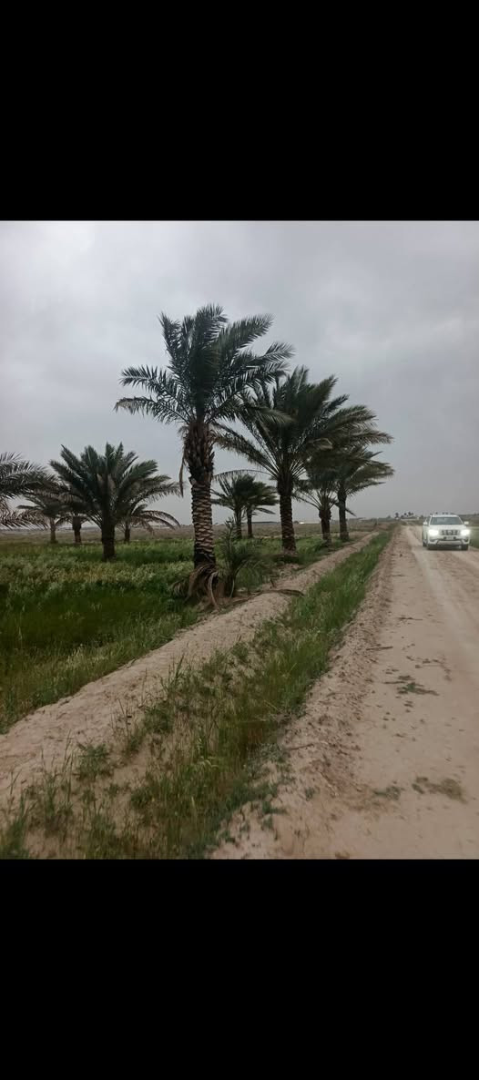 للبيع – أرض مميزة في بغداد / أبو غريب

للبيع أرض بمساحة 2 دونم ونصف في بغداد – أبو غريب – منطقة اسميلات، بموقع مميز قرب ثانوية الحدباء.

✅ تصلح للسكن أو لإنشاء مزرعة.
✅ موقع هادئ وقريب من الخدمات.
✅ فرصة مناسبة للاستثمار أو السكن.

📞 للاستفسار والتواصل:
***********
