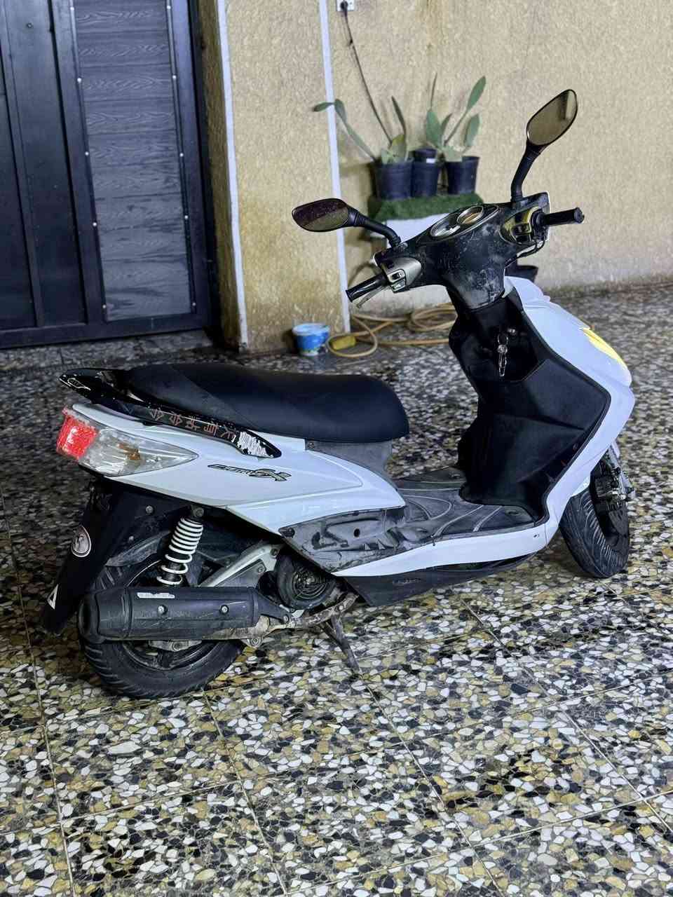 سلام عليكم سكنس فحل نوزل خطين دراجه كامله كلهه شغاله مابيه نقص شلعه ومعدل كهربائيات دبلات شلعه معدل خير من الله نكره بكل وقت مابيهه نقص السعر ٦٥٠ مكاني البلديات
***********
