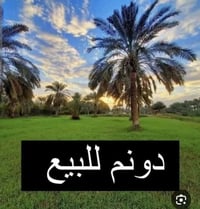 بستان ٣دوانم للبيع ملك صرف زراعي سند ٢٥ طابو الكاظمية يعني ثاني يوم اف...