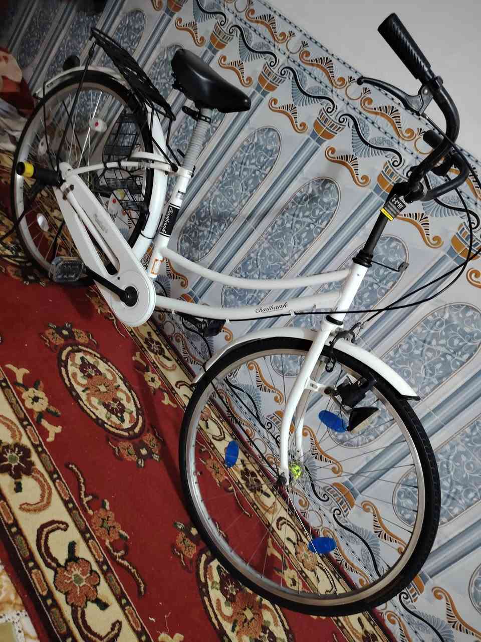 بايسكل بطه للبيع موديل 21 نضيف كلش قبل فتره جبته من الحاويه شرط ياباني ختم بالويل وبالشه السعر 110 وبي مجال مكاني محاويل قرب سيطره الاثار 🤍😉


**إذا كنت صاحب هذا الإعلان وتريد حذفه لأي سبب، رجاءا أرسل رسالة إلى الدعم الفني**