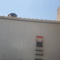 حداد • متفرغ