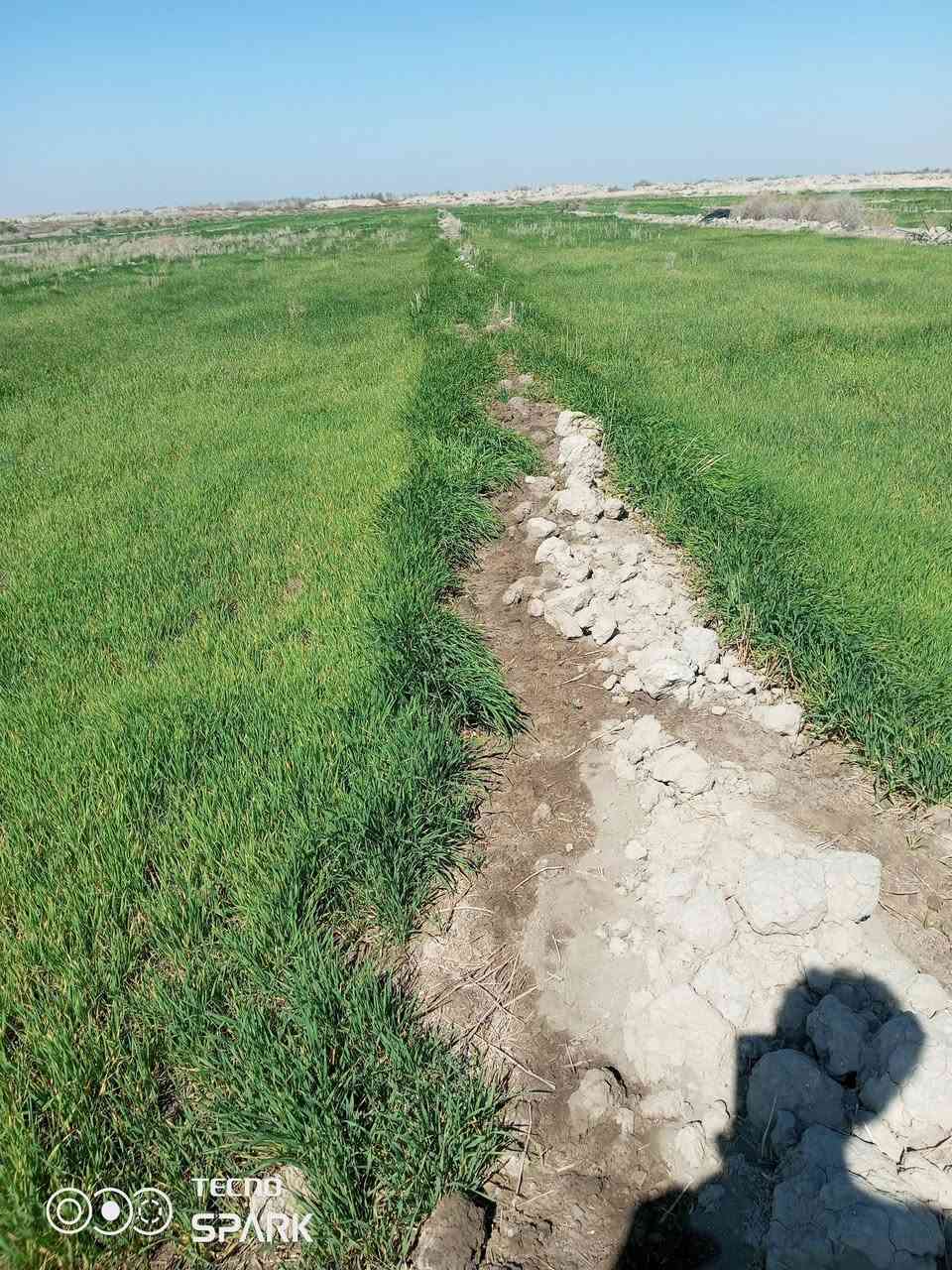 دغل للبيع 20دونم للاستفسار على ***********
