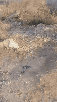 الحسينية حي الزهراء • ١٥٠م • طابو