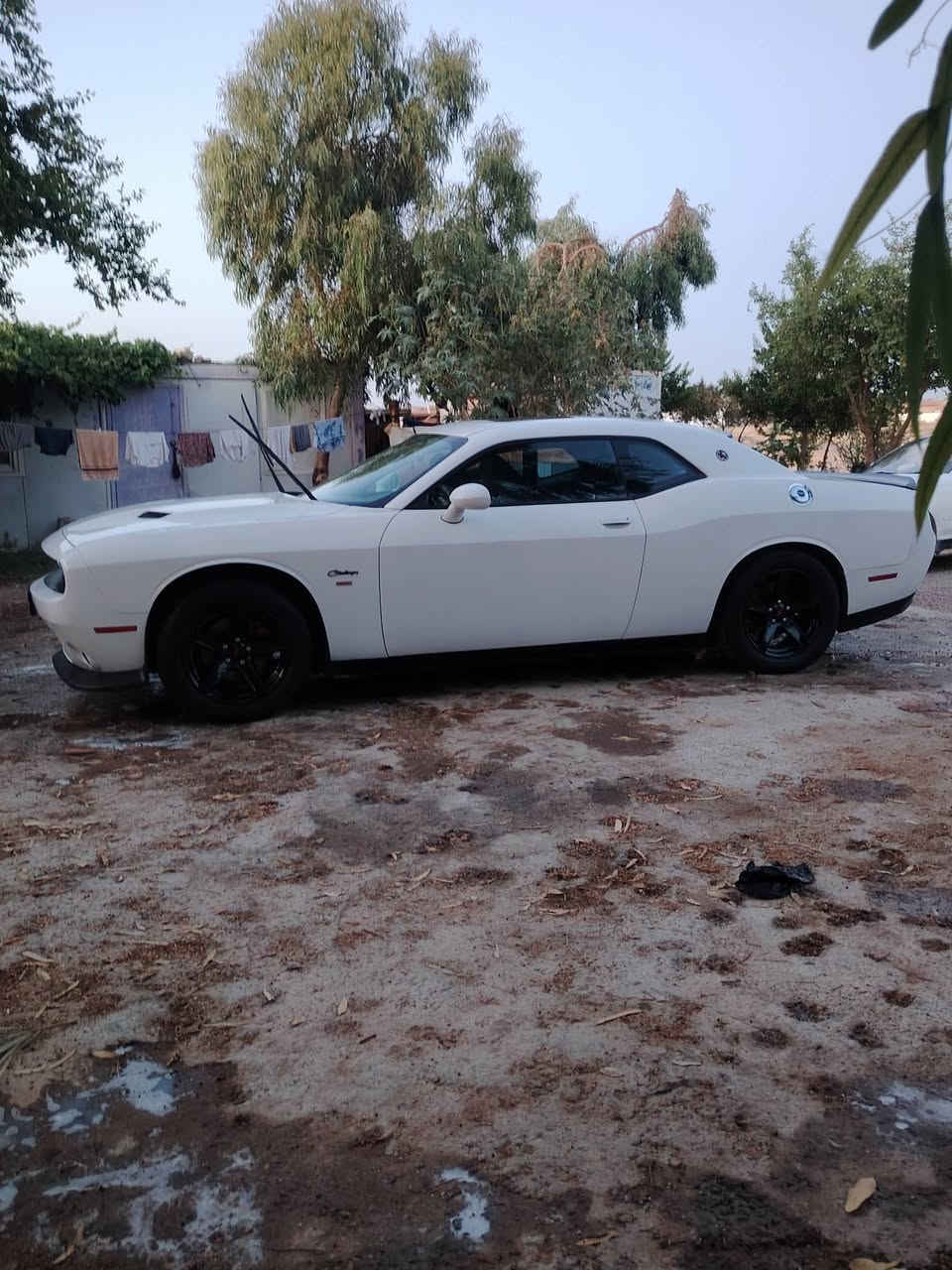 سلام عليكم جالنجر 15
السعر 135
فول فتحه شفتات ستيرن نضام سبورت جاهزه من كلشي ويل نجمه 18 وتخم تاير جديد والحادث جاملغ  وشخط بل صفحه وطعجاج بل صفحه الثانيه ونصبغت صفحتين هيج اشتريته عل وضعيته رقم بغداد انكليزي حته الهزه مساقطه
مكاني بغداد مدينه الصدر *********** وسونار موجود
