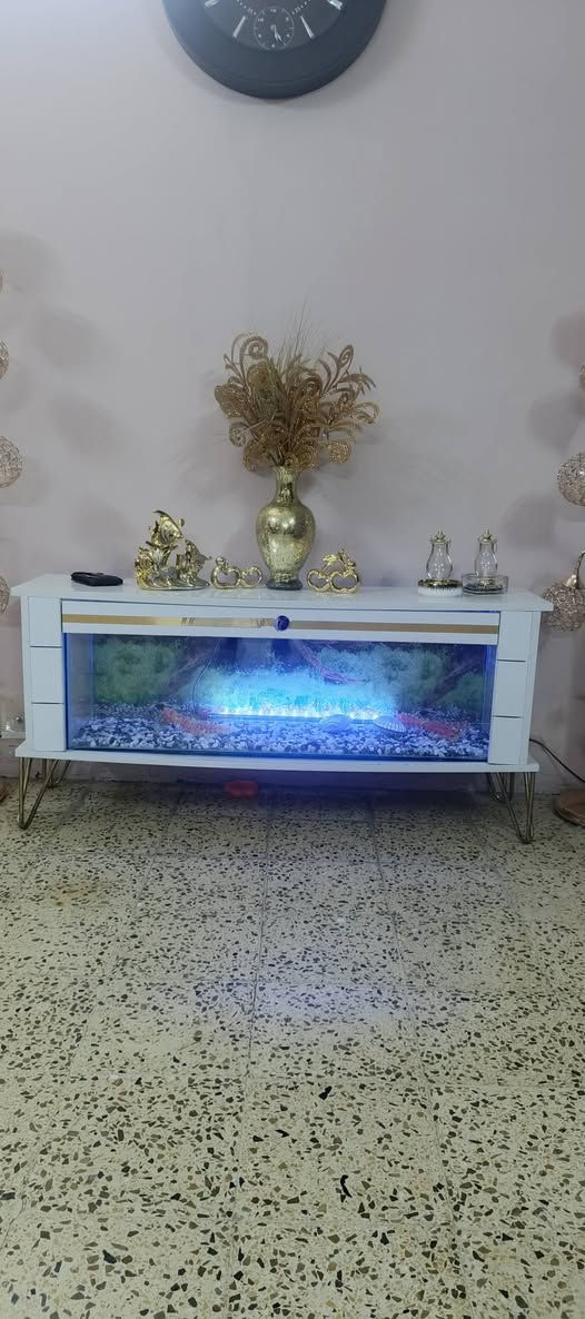 السلام عليكم ورحمة الله ميز بلازمه وحوض سمك للبيع ب125وبي مجال مكاني شقق الخضراء ايسر الموصل ***********
