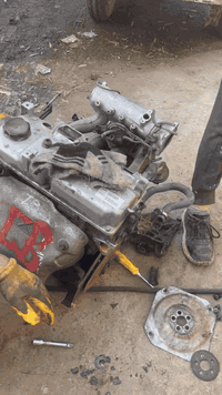 اللهم صلى على محمد وال محمد 

شلونكم حبايبي 

تبديل محرك لانسر. بومه حجم 15 قبق. ابيضّ  ياباني 
لسيارت اخونه من محافظة جديدة لشط 
مع ضمان 10ايام عمل لمحرك 

سعر الطابوكه ب650 ألف 

خدمات داوود  قطع غيار السيارات لانسر بومه +قرش+سمكره+صبغ عام +تعديل 🚖🚖

العنوان بعقوبه حي المعلمين 

هاتف ***********
@الجميع
