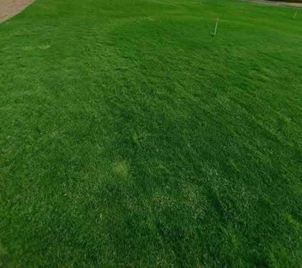 متوفر عدنا كافة انواع الثيل الطبيعي
(الامريكي – الهندي – الايطالي – الفرنسي)

كادر مختص بالتجهيز والزراعة ويخدم كل احتياجاتكم:
للمشاتل 🌴
للدوائر الحكومية 🏦
للمنازل والحدائق 🏡
وللمنتزهات والمشاريع الكبيرة 🏄

وتتوفر خدمة توصيل سريعة لكل محافظات العراق 🚕🚕

للاستفسار والتجهيز تواصلوا معنا، ونضمن لكم افضل نوعية وثيل درجة اولى وبسعر مناسب.

 ***********
***********
