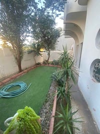 واحد اذار • ٤٠٠م • واجهة٢٠م